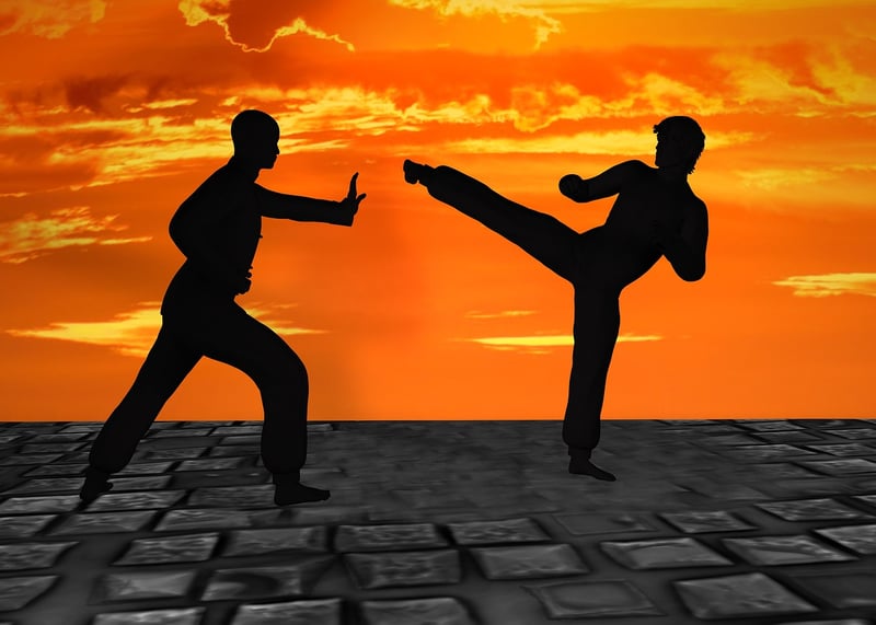Martial Arts Silhouette